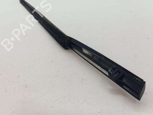 Door moulding trim NISSAN X-TRAIL II (T31) 2.0 dCi 4x4 | BP28886433C150 
