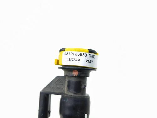 Pipe PEUGEOT 2008 II (UD_, US_, UY_, UJ_, UR_, UC_) 1.2 PureTech 130 (USHNS, URHNS) | BP29510250M125 