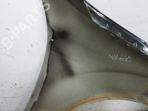 Left front fenders MERCEDES-BENZ M-CLASS (W164) ML 320 CDI 4-matic (164.122) | BP28900309C41 