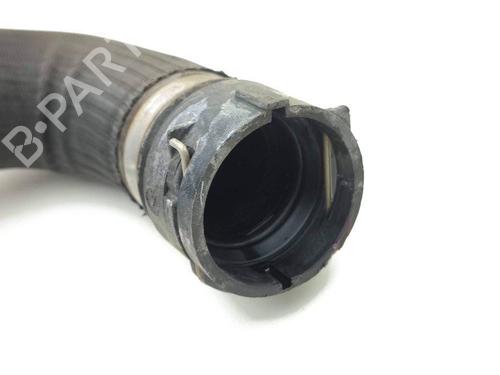 Pipe ALFA ROMEO GIULIA (952_) 2.0 (952ACA25) | BP28883120M125