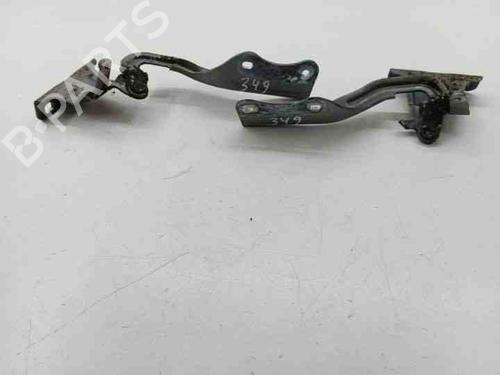 Hinge/Door check strap NISSAN X-TRAIL II (T31) 2.0 dCi 4x4 | BP28845215C146