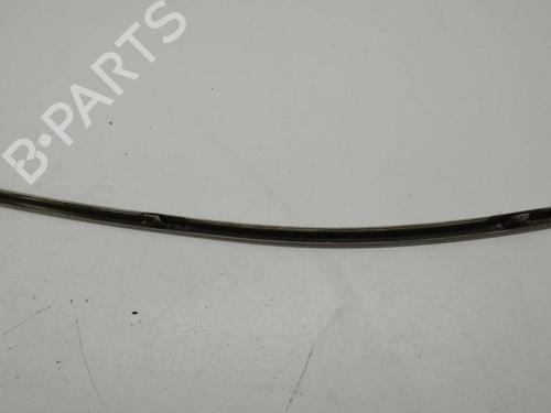 Door moulding trim BENTLEY CONTINENTAL FLYING SPUR (3W_) 6.0 | BP28898580C150 
