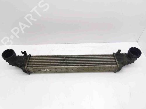 Used Intercooler MERCEDES-BENZ CLS (C219) CLS 320 CDI (211 hp) 28875684