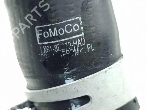 Pipe FORD KUGA III (DFK) 2.5 Duratec Plug-in-Hybrid | BP38251879M125 - Image 5