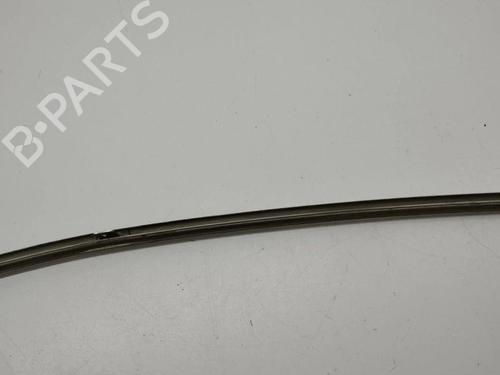 Door moulding trim BENTLEY CONTINENTAL FLYING SPUR (3W_) 6.0 | BP28898577C150 