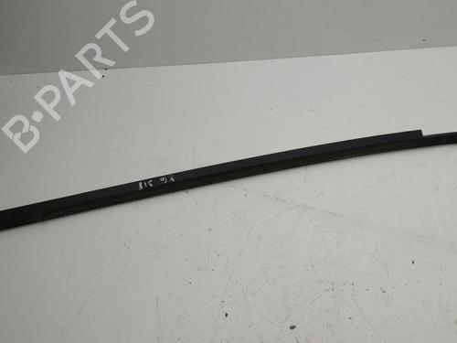 Door moulding trim TESLA MODEL S (5YJS) 60 | BP28900720C150 