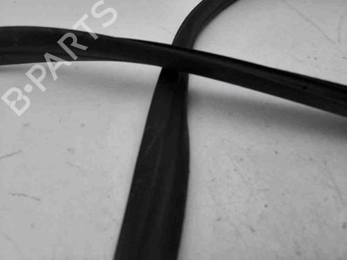 Gummiliste RENAULT CLIO V (B7_) 1.3 TCe 130 (B7MF) | BP28897006C142 