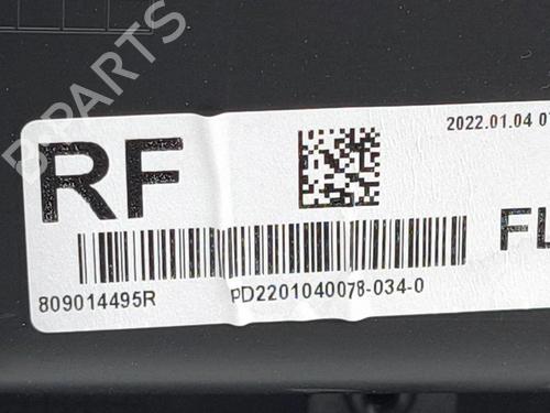 Front left panel RENAULT ARKANA I (LCM_, LDN_) 1.6 E-TECH 145 (LDMU) | BP39145901C58 - Image 11