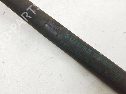 Pipe MERCEDES-BENZ R-CLASS (W251, V251) R 320 CDI 4-matic (251.022, 251.122) | BP28903961M125 