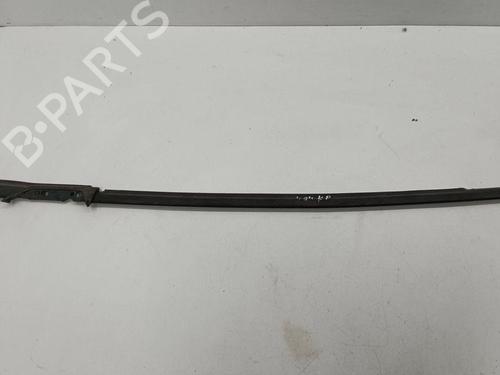 Used Door moulding trim LANCIA PHEDRA (179_) 2.2 JTD (179AXC1A) (128 hp) 28891721