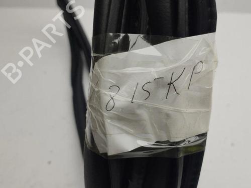 Rubber door seal AUDI A1 Sportback (8XA, 8XF) 1.0 TFSI | BP28900887C142 
