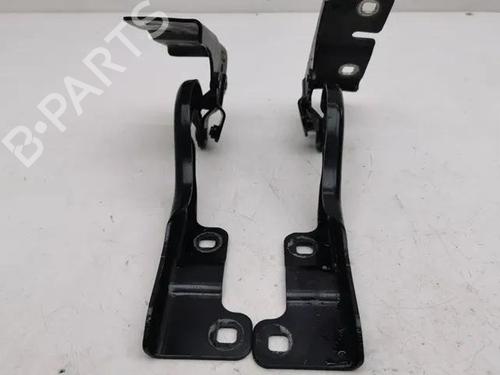 Hinge/Door check strap RENAULT MEGANE I (BA0/1_) 1.4 e (BA0E, BA0V) | BP28861677C146 