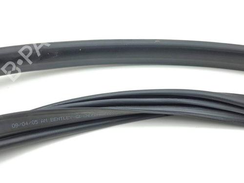 Rubber door seal BENTLEY CONTINENTAL FLYING SPUR (3W_) 6.0 | BP28883254C142 
