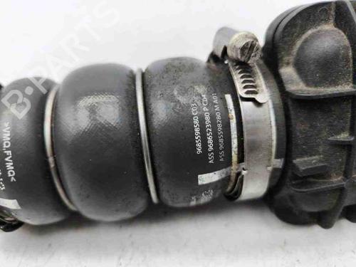 Pipe CITROËN DS4 (NX_) 1.6 HDi 110 | BP28887729M125 