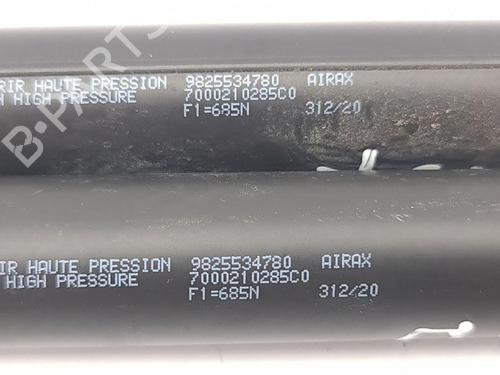 Tailgate lift support PEUGEOT 2008 II (UD_, US_, UY_, UJ_, UR_, UC_) 1.2 PureTech 130 (USHNS, URHNS) | BP28879418C138 