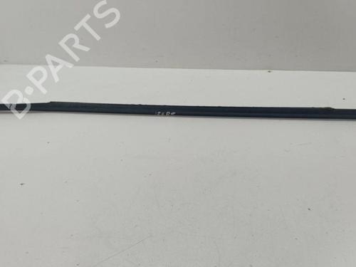 Used Door moulding trim NISSAN X-TRAIL II (T31) 2.0 dCi 4x4 (150 hp) 28886433