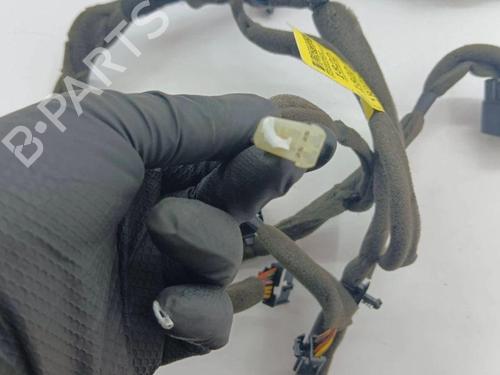 Wiring harness OPEL ANTARA A (L07) 2.2 CDTi | BP28904316E16 