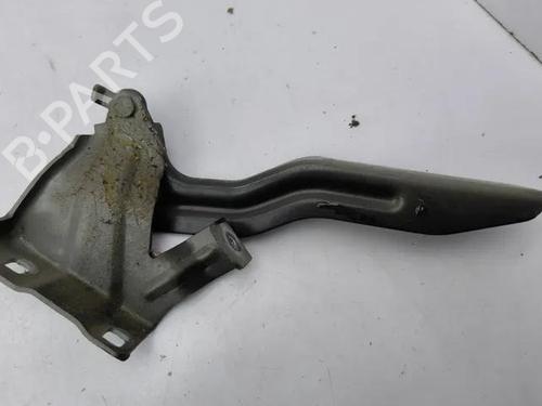 Hinge/Door check strap NISSAN QASHQAI II (J11, J11_) 1.5 dCi | BP28861935C146 