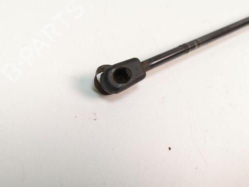 Tailgate lift support FORD GRAND C-MAX (DXA/CB7, DXA/CEU) 1.6 TDCi | BP28885159C138 