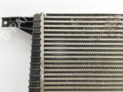 Intercooler CHEVROLET CAPTIVA (C100, C140) 2.2 D 4WD | BP28844962M30