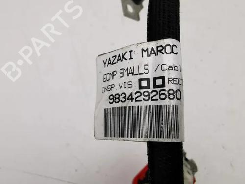 Cable CITROËN C4 III (BA_, BB_, BC_) ë-C4 (BCZKXC, BZCKSC) | BP28865100E12 - Image 8