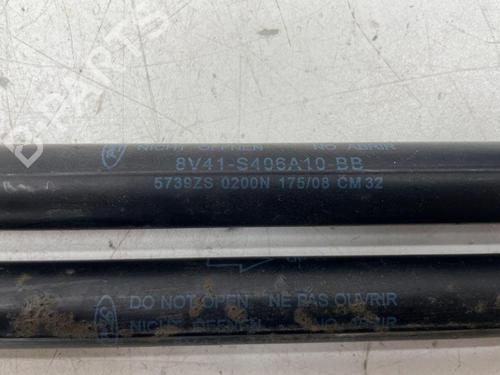 Tailgate lift support FORD KUGA I 2.0 TDCi 4x4 | BP28893381C138 