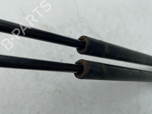 Tailgate lift support FORD KUGA I 2.0 TDCi 4x4 | BP28893381C138 