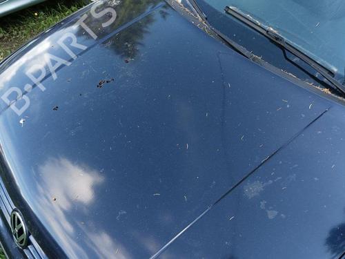 Hood VW GOLF V (1K1) 1.9 TDI | BP28893428C1 