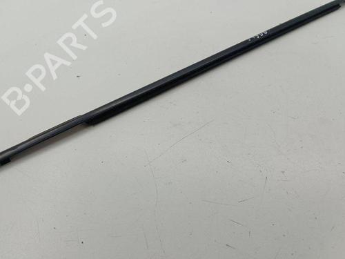 Door moulding trim NISSAN X-TRAIL II (T31) 2.0 dCi 4x4 | BP28890321C150 