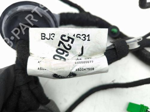 Ledningsnet LAND ROVER RANGE ROVER EVOQUE (L538) 2.2 D 4x4 | BP29615052E16 