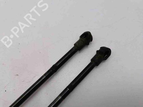 Tailgate lift support BMW X5 (E53) 4.4 i | BP28893488C138 