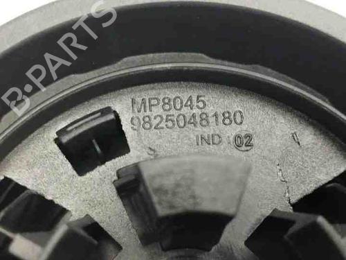 Other CITROËN C4 III (BA_, BB_, BC_) ë-C4 (BCZKXC, BZCKSC) | BP28865163O1