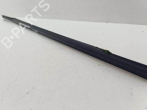 Door moulding trim NISSAN X-TRAIL II (T31) 2.0 dCi 4x4 | BP28886433C150 