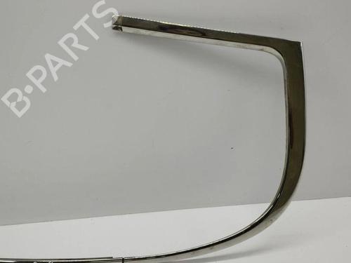 Door moulding trim BENTLEY CONTINENTAL FLYING SPUR (3W_) 6.0 | BP28898575C150 