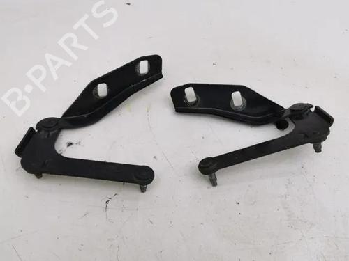 Used Hinge/Door check strap FORD C-MAX (DM2) 2.0 TDCi (133 hp) 28843112