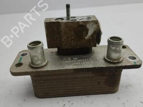 Heater matrix TESLA MODEL S (5YJS) 60 | BP28862956M63 