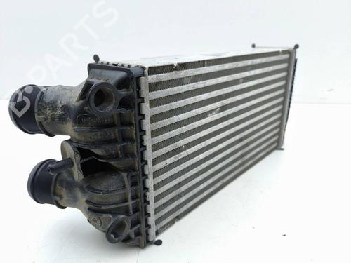 Intercooler PEUGEOT 2008 II (UD_, US_, UY_, UJ_, UR_, UC_) 1.2 PureTech 130 (USHNS, URHNS) | BP29510206M30 
