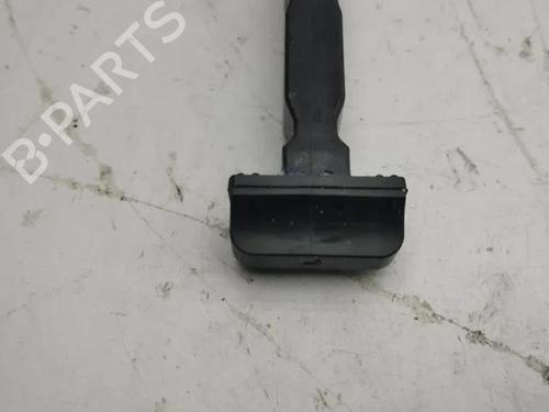 Hinge/Door check strap RENAULT MEGANE I (BA0/1_) 1.4 e (BA0E, BA0V) | BP28861625C146 