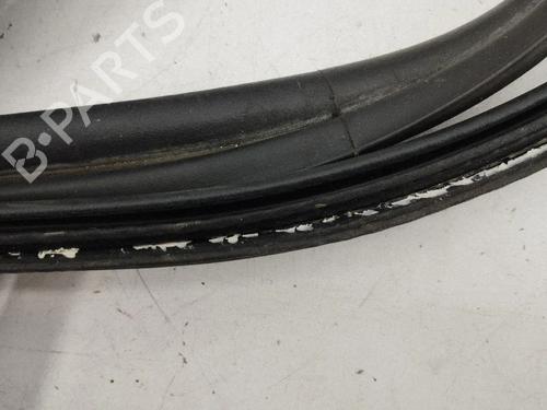 Gummiliste FORD FOCUS IV (HN) 1.0 EcoBoost | BP37290546C142 - Image 2