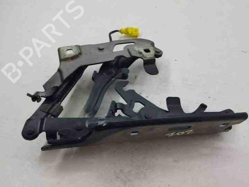 Hinge/Door check strap AUDI Q5 (8RB) 2.0 TDI quattro | BP28855466C146 