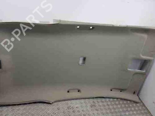 Interiør taket CHEVROLET CAPTIVA (C100, C140) 2.2 D 4WD (184 hp) 28844951