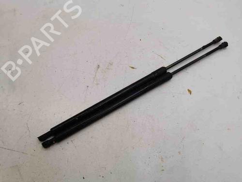 Tailgate lift support BMW X5 (E53) 4.4 i | BP28893488C138 