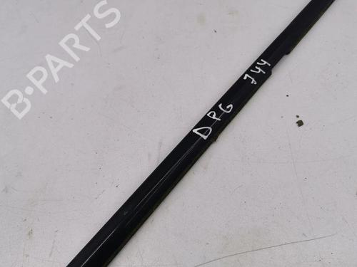 Door moulding trim BMW X5 (E70) xDrive 30 d | BP28898022C150 