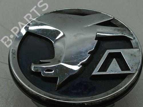Hub cap OPEL MOKKA 1.2 (76) | BP28856124C160 