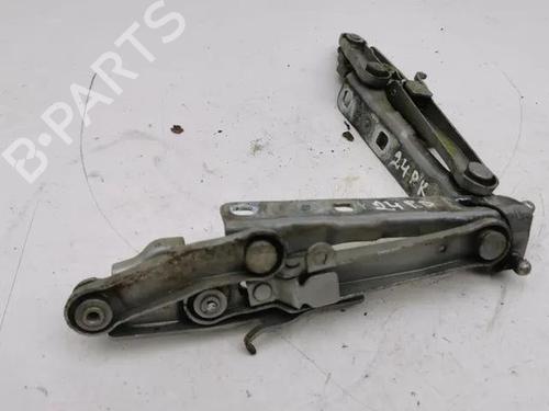 Hinge/Door check strap MERCEDES-BENZ E-CLASS (W211) E 320 CDI (211.026) | BP28841004C146 