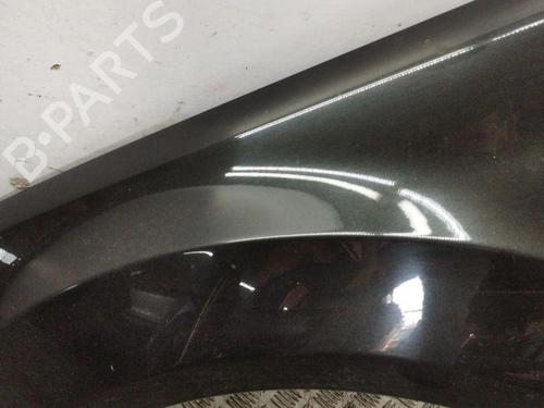 Left front fenders MERCEDES-BENZ M-CLASS (W164) ML 320 CDI 4-matic (164.122) | BP28900309C41 