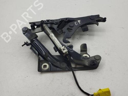 Used Hinge/Door check strap AUDI Q5 (8RB) 2.0 TDI quattro (190 hp) 28855466