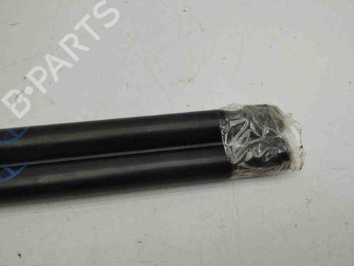 Tailgate lift support FORD FIESTA VII (HJ, HF) 1.0 EcoBoost | BP28899878C138