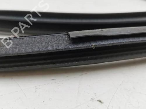 Rubber door seal NISSAN JUKE (F16_) 1.6 Hybrid | BP28864948C142 
