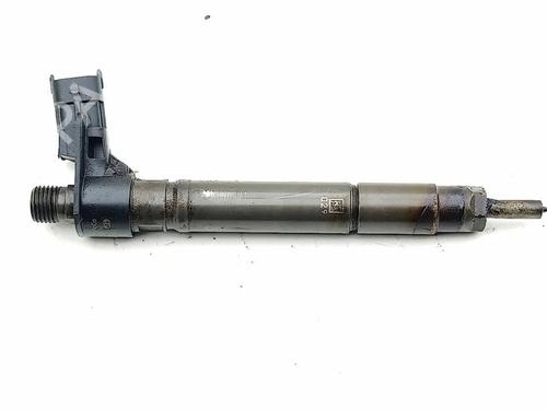 Injector LAND ROVER RANGE ROVER EVOQUE (L538) 2.2 D 4x4 | BP30643663M100 